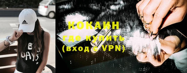 PSILOCYBIN Кодинск