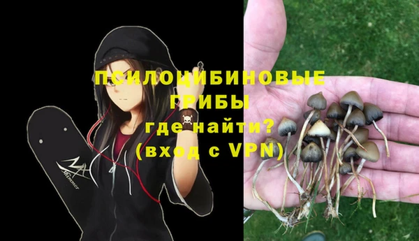 PSILOCYBIN Кодинск