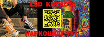 стафф Гатчина