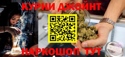 стафф Гатчина