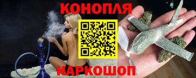 стафф Гатчина