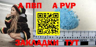 стафф Гатчина