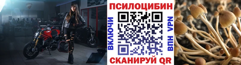 Галлюциногенные грибы прущие грибы  даркнет сайт  Жуковский 