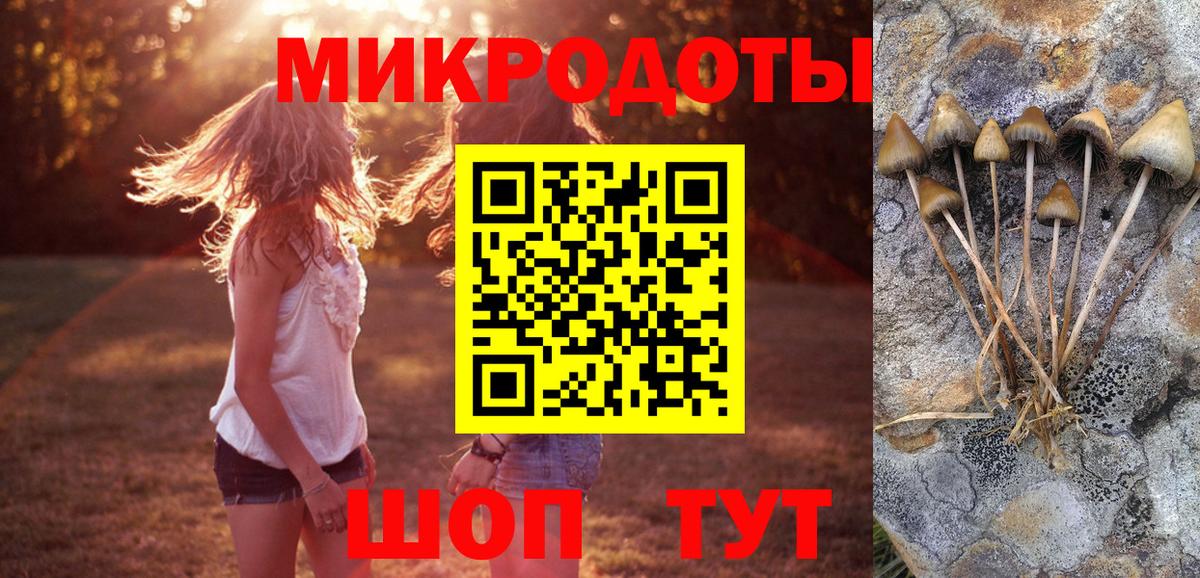 Жуковский  Псилоцибиновые грибы Psilocybe  Вход с VPN 