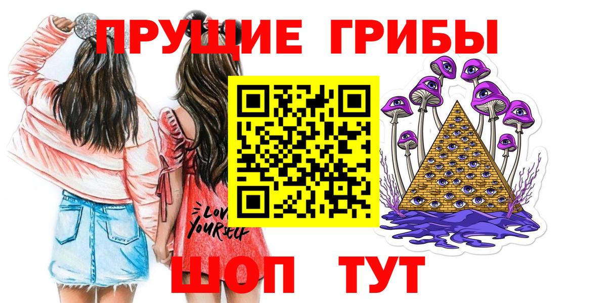 Псилоцибиновые грибы Psilocybe Жуковский