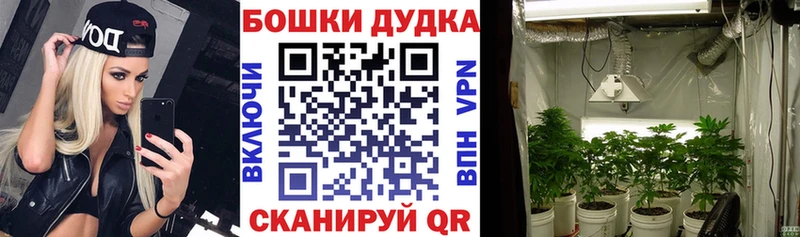 Каннабис AK-47  цена наркотик  мега сайт  Жуковский 